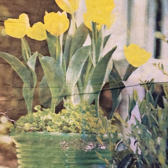 Meet your Posher, Pamela - Picture 1 of 1